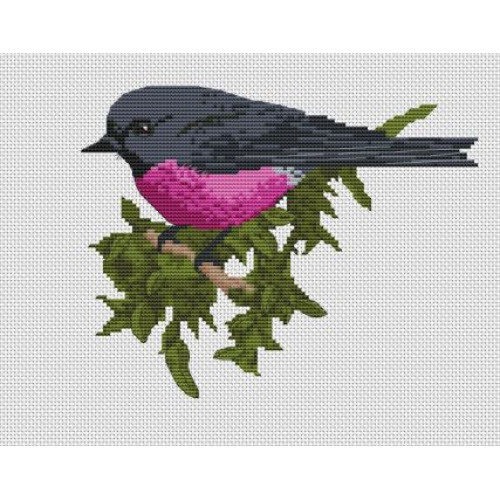 Australian Birds